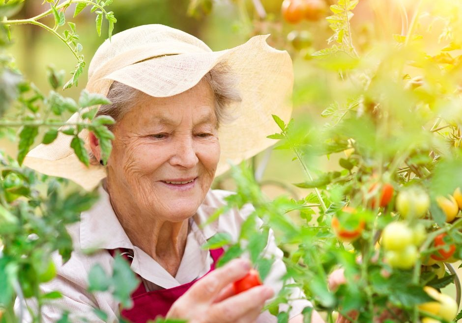 Concerned About Your Aging Parents? 6 Signs They May Need Help